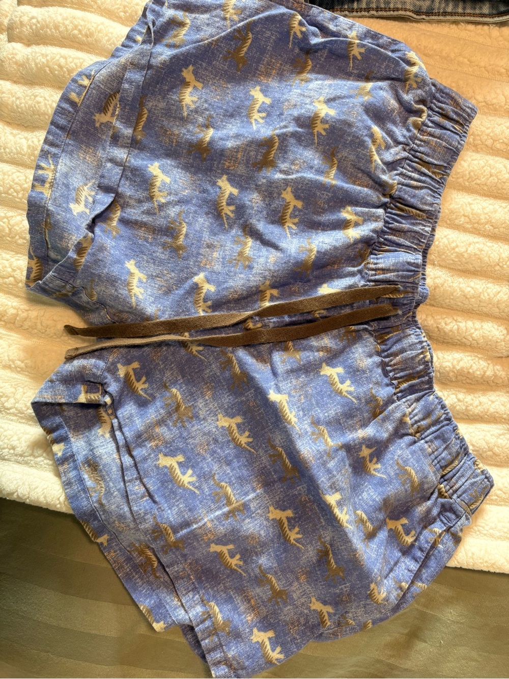 Patagonia Blue Printed Women's Lounge Shorts